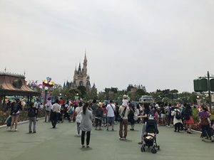 TDL